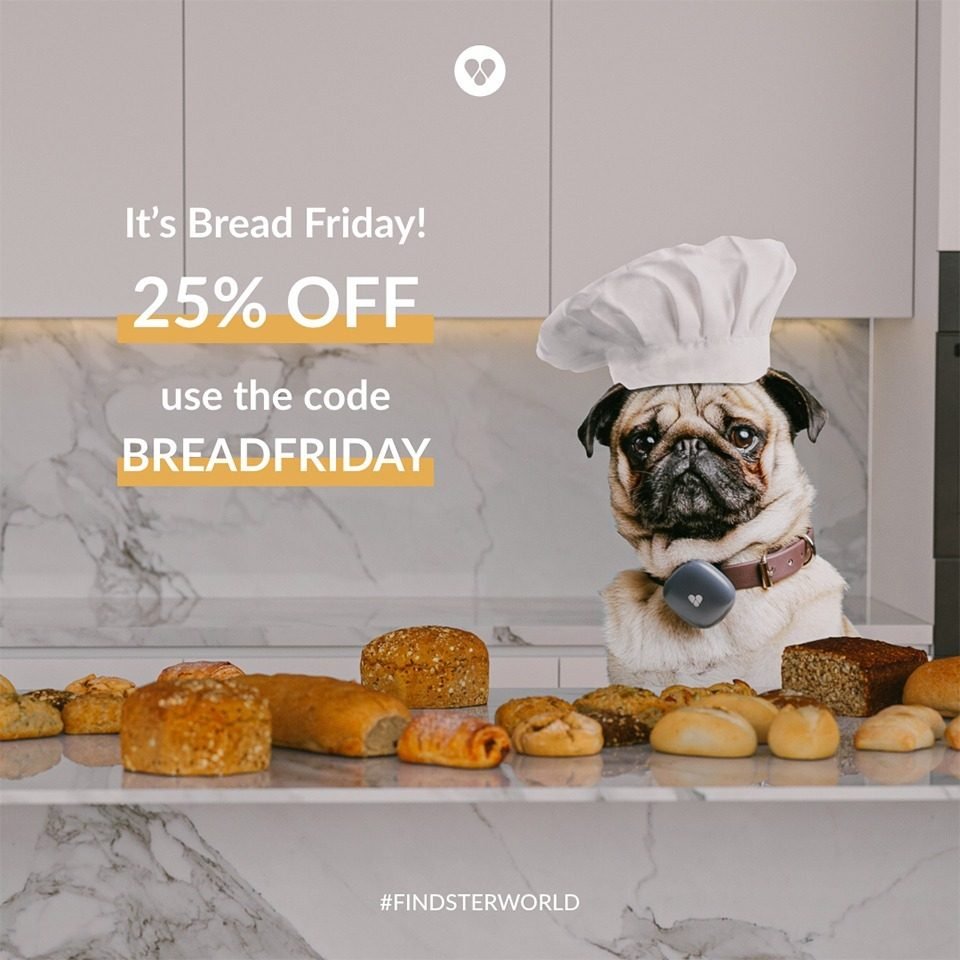 findster bread friday campaign