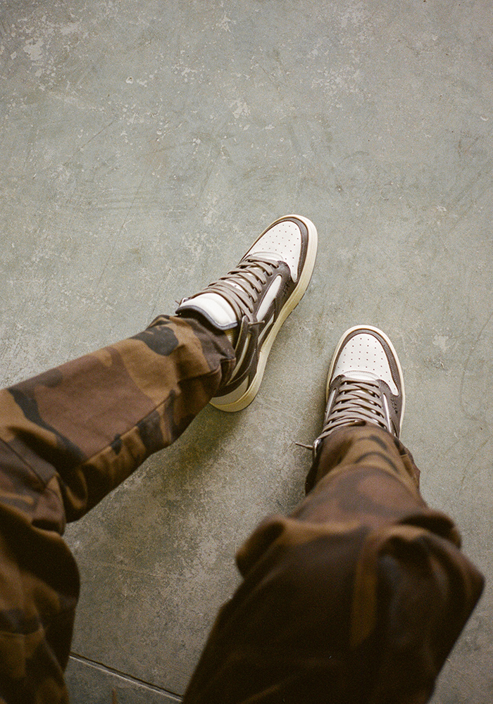 represent reptor low brown