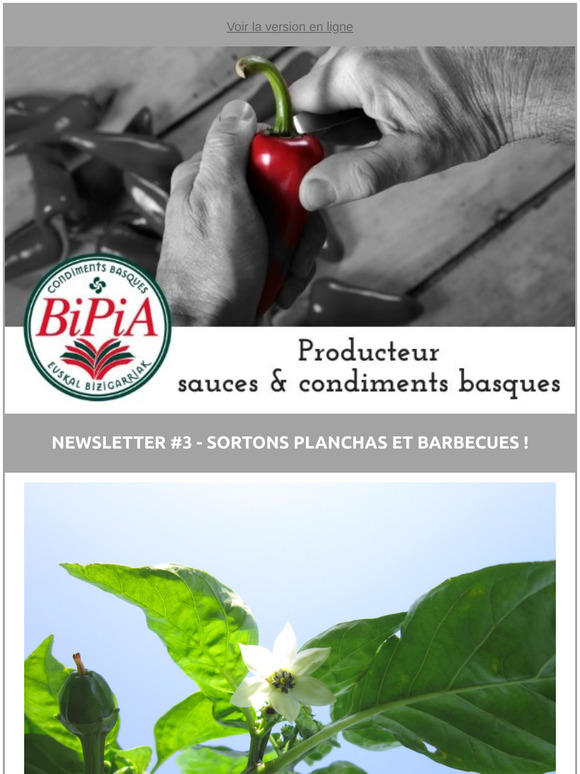 La newsletter pimentée