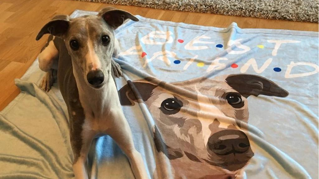 Woof blankets Clearance