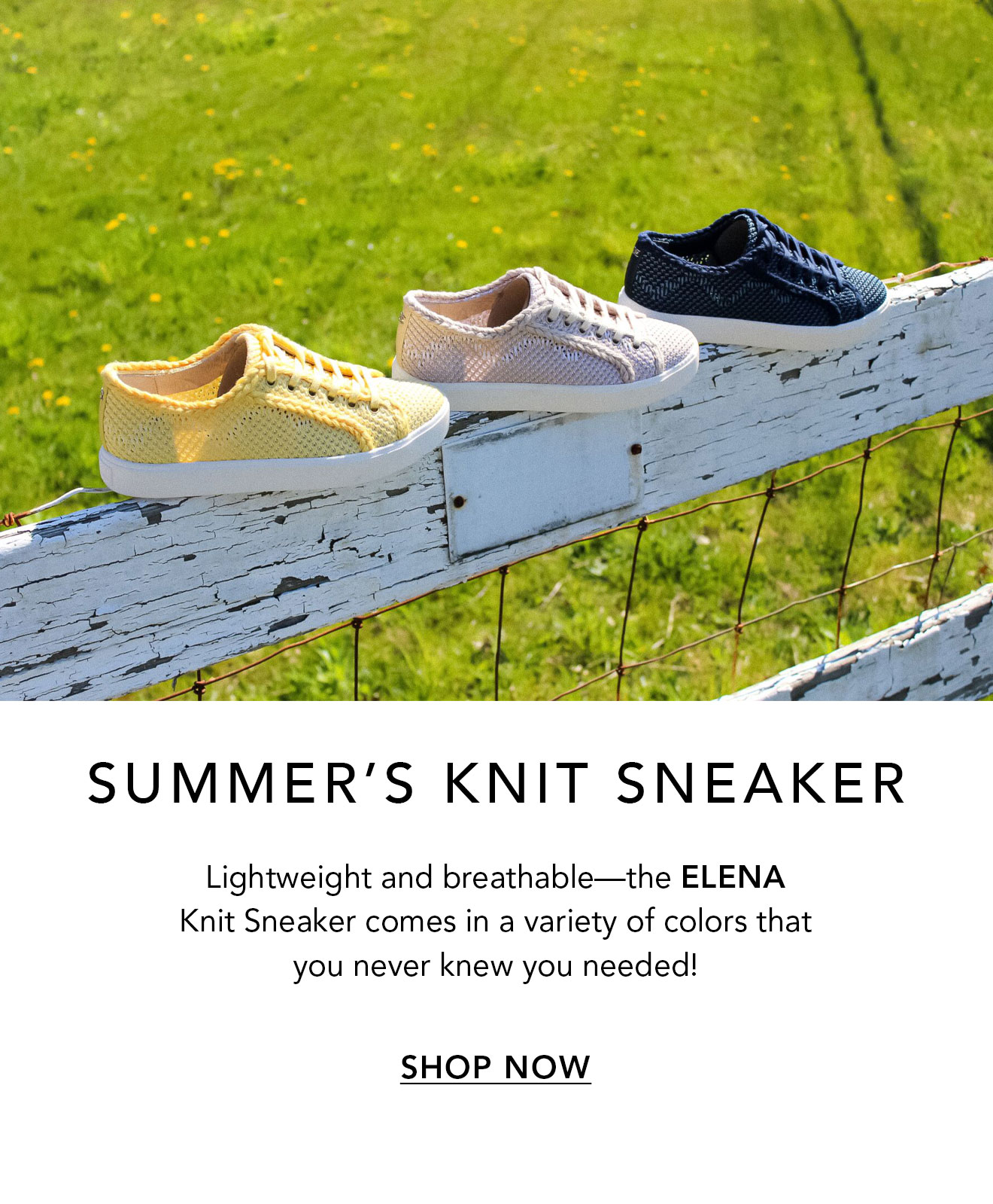 elena knit sneaker sam edelman