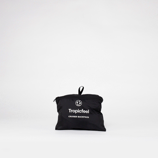 cruiser packable backpack