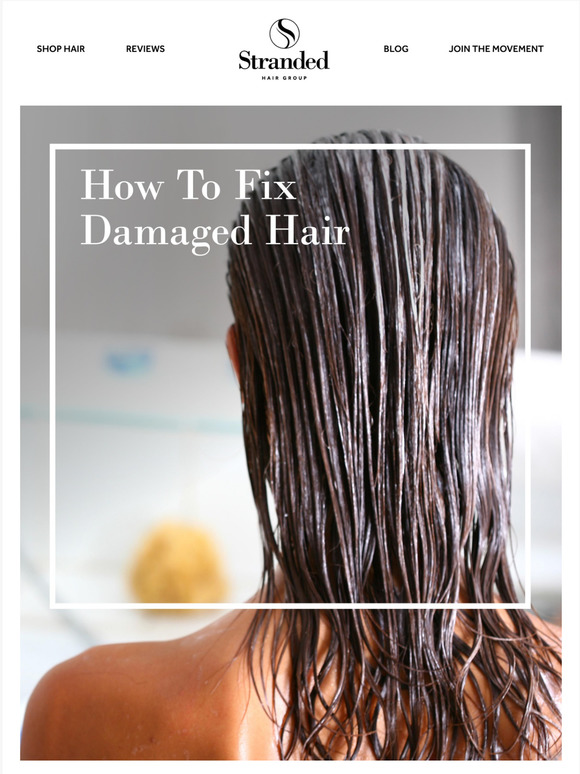 Damaged hair? Learn how to fix it ➜
