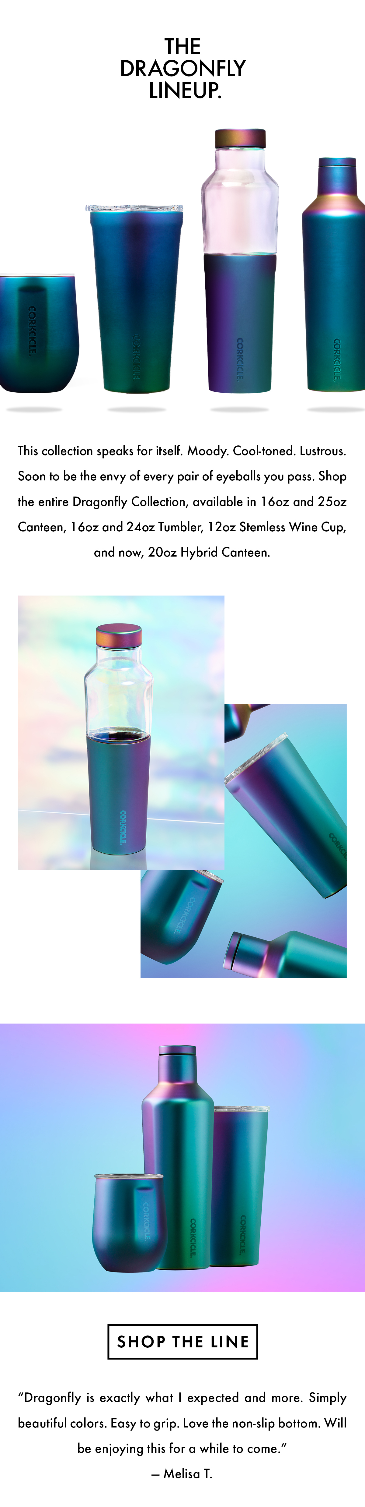 corkcicle dragonfly