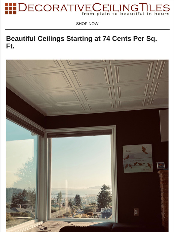 Decorative Ceiling Tiles, Inc. 12 Diy Ceiling Tiles Up To 50 Off 10ft