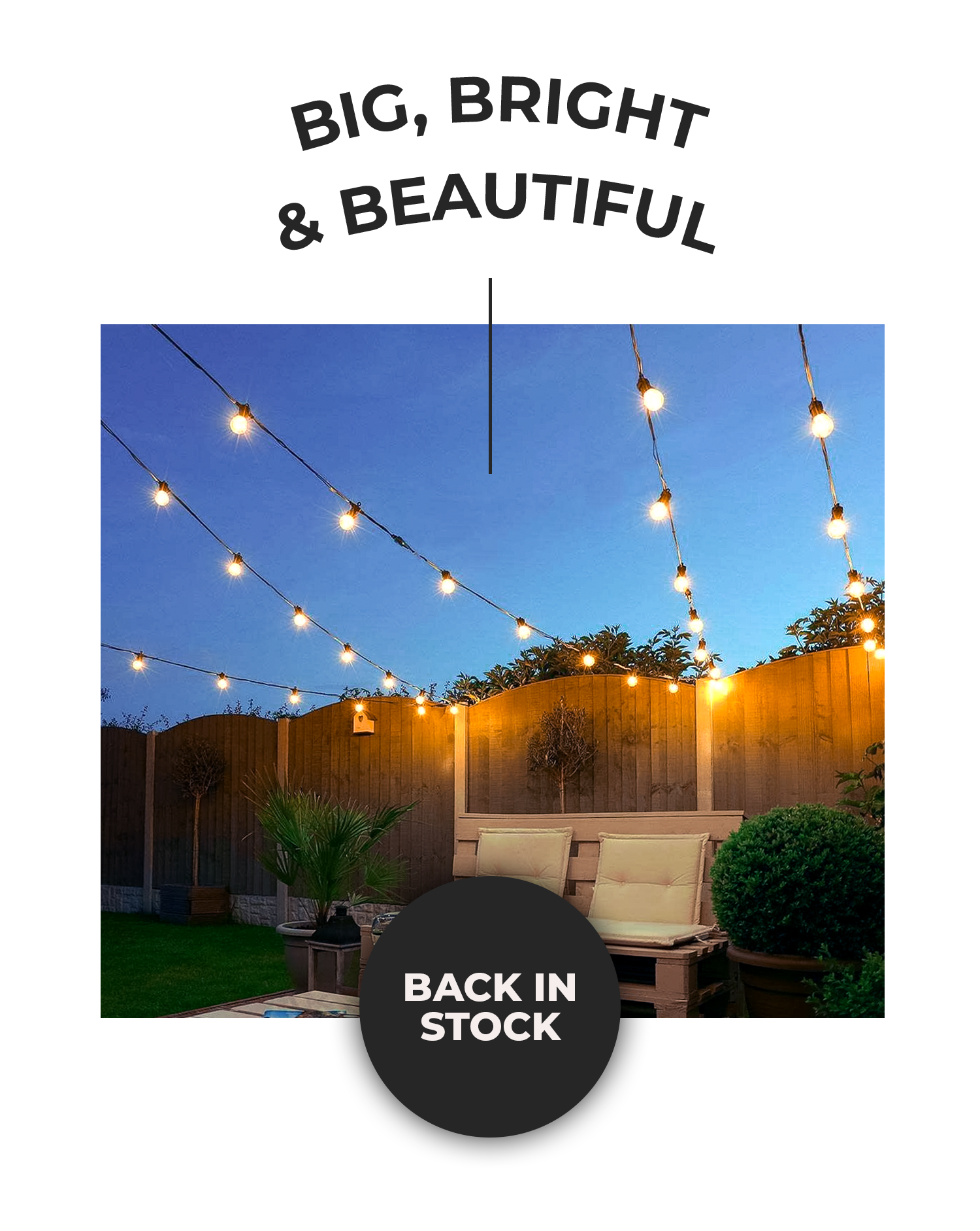 Festive Lights Big, bright, beautiful and back in stock our best