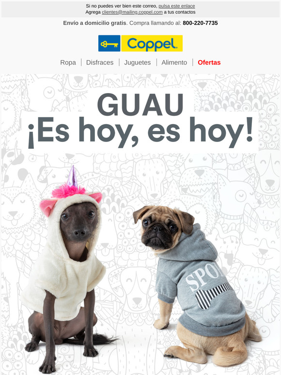 Ropa Para Perros Pug Coppel Hotsell, 59% OFF 