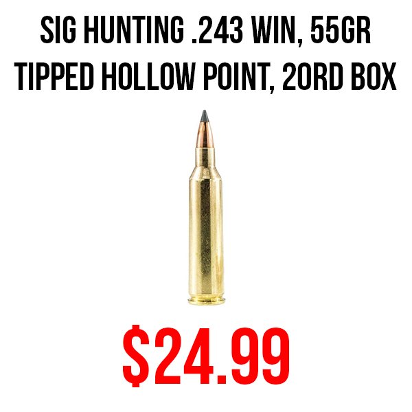 Sig Hunting 243 win ammo