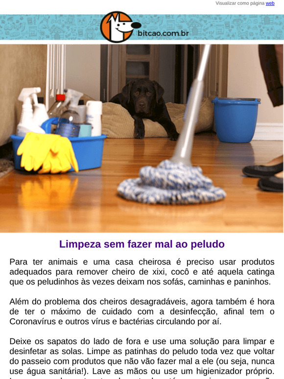 Casa limpa, cheirosa e sem vírus