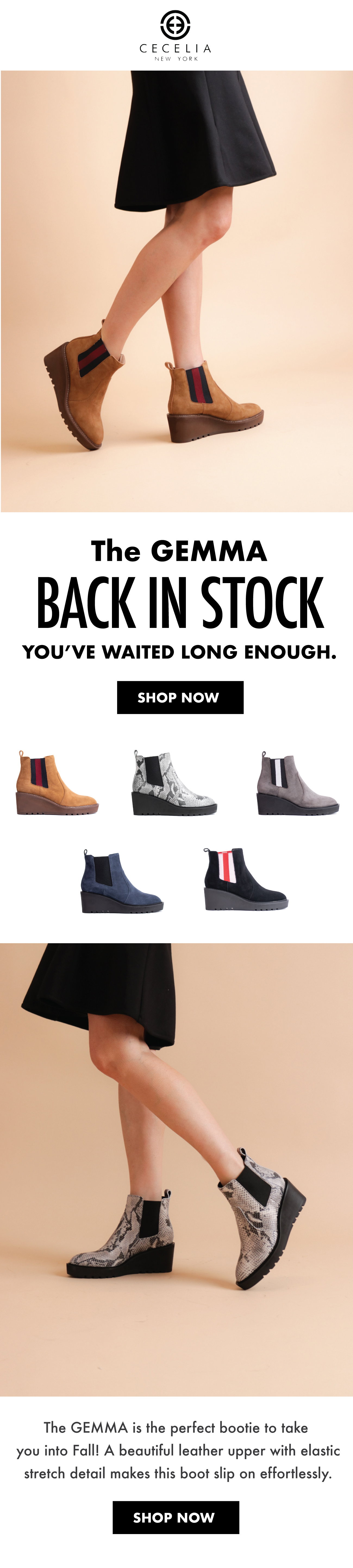 Cecelia New York: You've waited long