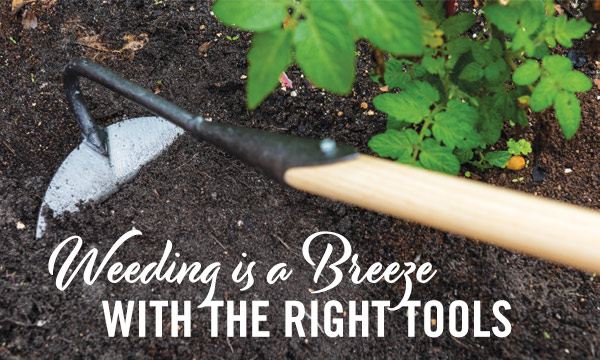 Gardener S Supply Company Weeding Woes And The Tools To Solve Them Milled