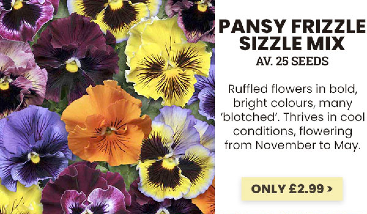 Dobies Flower Seeds To Sow In August! Milled