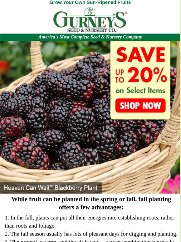 Gurney's Seed & Nursery 3 reasons to plant fruit this fall Milled