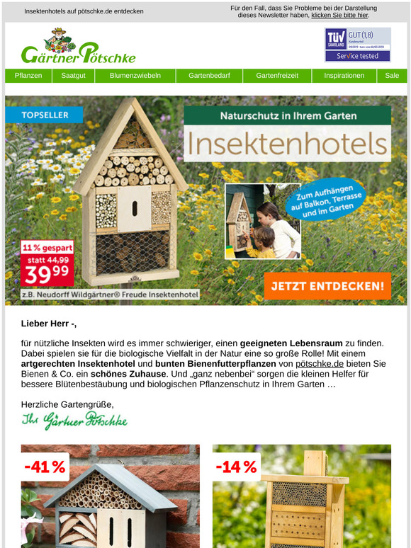 Pötschke Garten und Pflanzen Versand 🐝 Laden Sie nützliche Insekten
