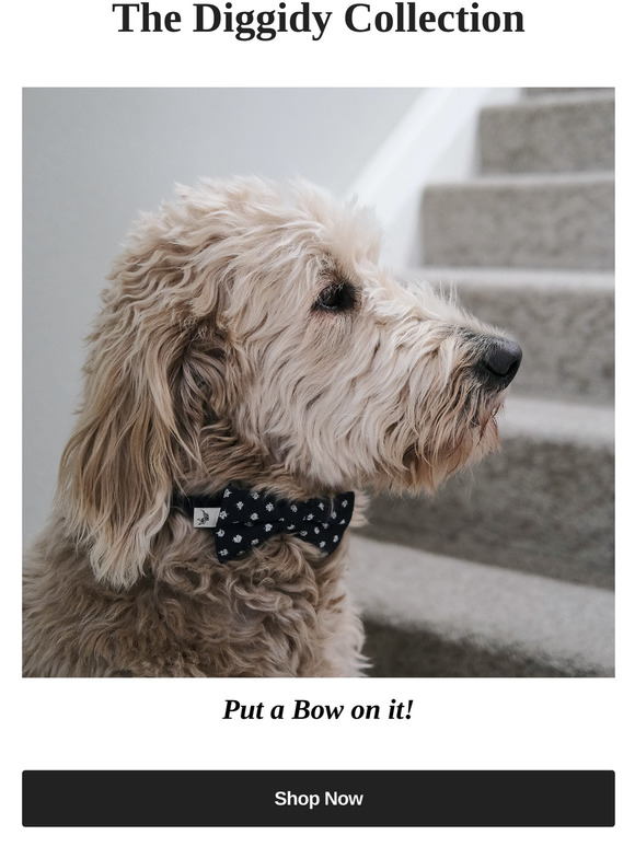 NEW arrivals we think your pup will love🐾