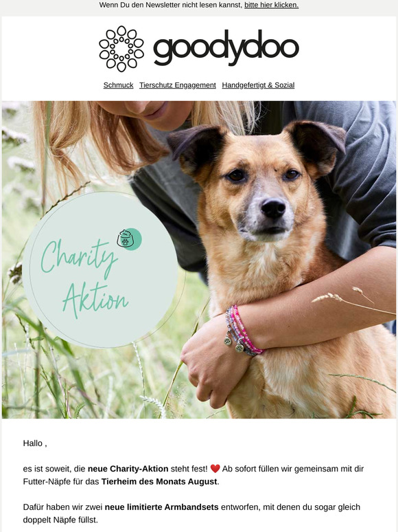 Neue Charity-Aktion "Tierheim des Monats"