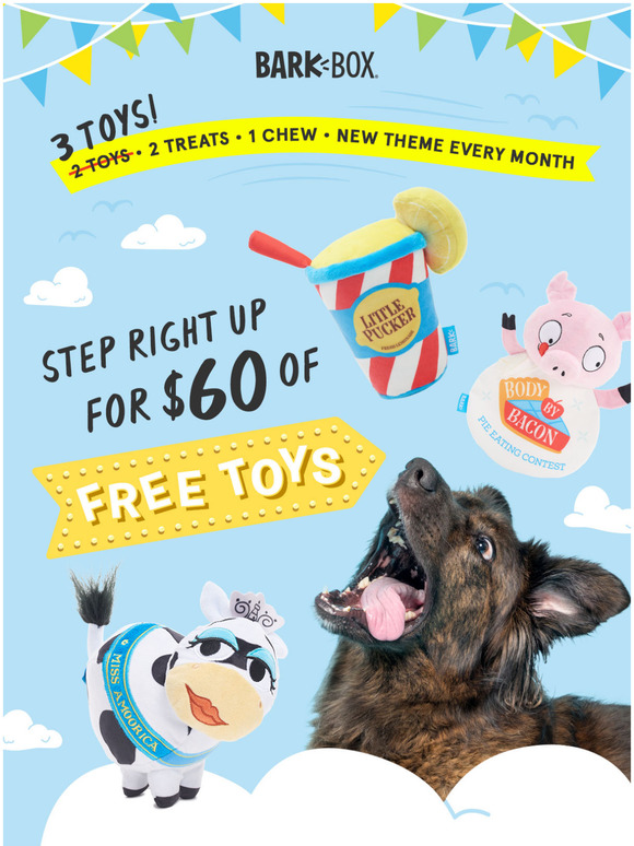 barkbox toys inside toys maple syrup