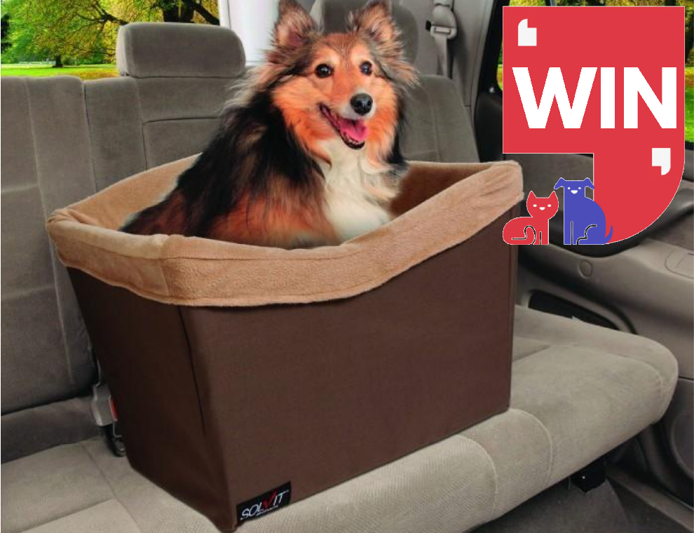 solvit booster seat