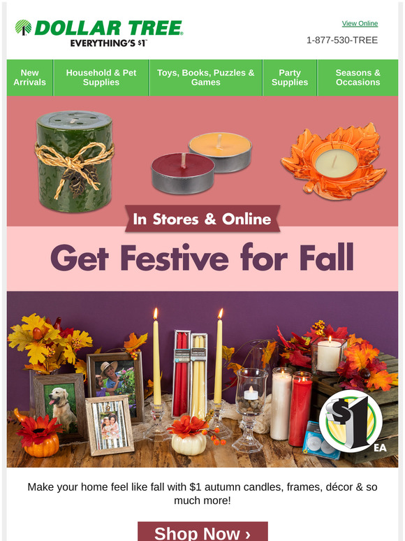 Dollar Tree š Online Now Shop Everything Fall! Milled