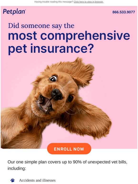 Petplan Pet insurance Did you to enroll your pack ? Milled