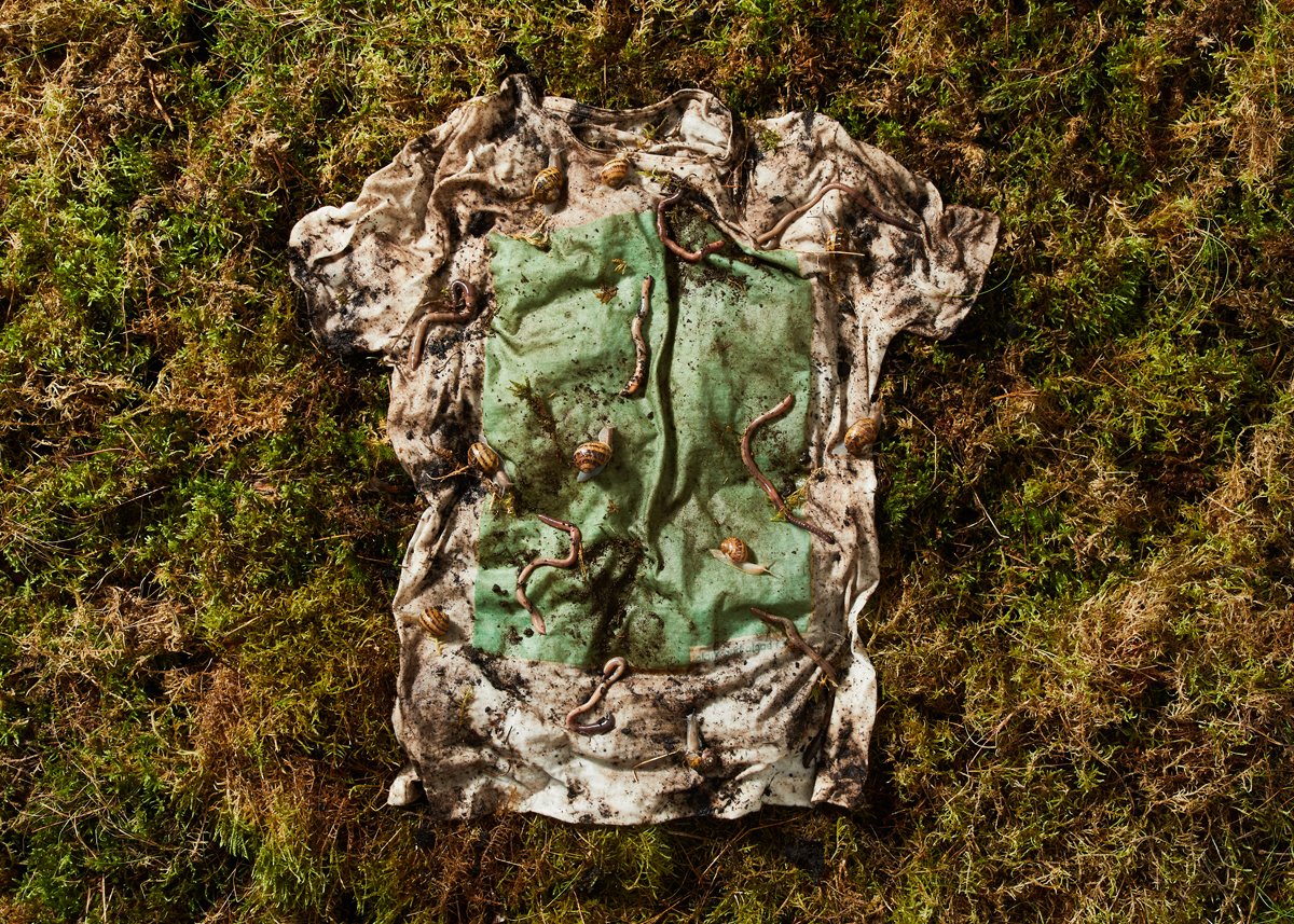 Plant and Algae T Shirt | Available soon at vollebak.com
