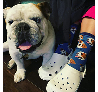 crocs for dogs