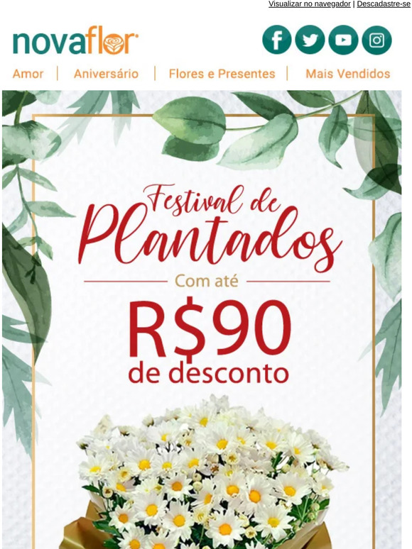 O nosso festival de plantados te espera! ï»¿ðï»¿ð