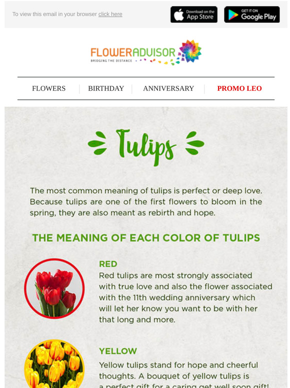 FlowerAdvisor: Meaning of Each Color of Tulips | Milled