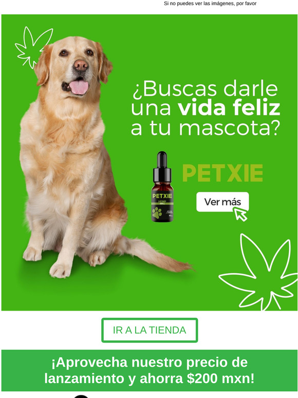 Aceite con extracto de Hemp  🐶 🐱