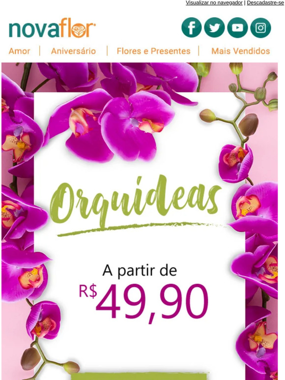 Hoje o dia pede ORQUÃDEAS! Aproveite ï»¿ðºï»¿ð