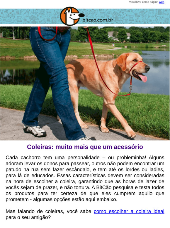 Sabe escolher a coleira certa?