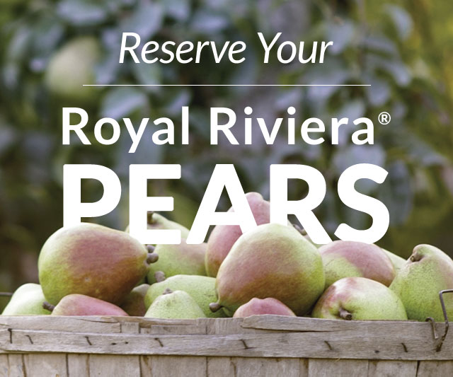 harry-david-it-s-time-to-order-royal-riviera-pears-are-coming-soon-milled