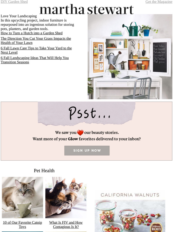 Martha Stewart How to Turn a Hutch into a Garden Shed Milled