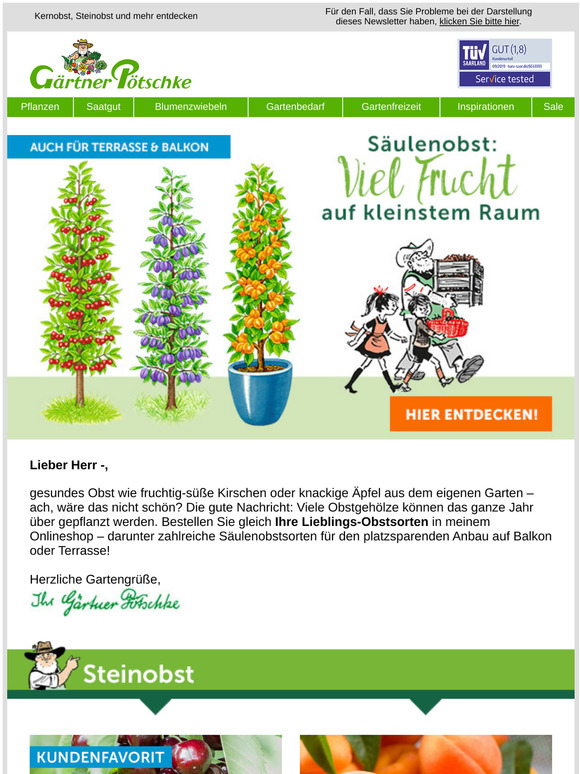 🍎 Frischer Obstgenuss aus dem eigenen Garten