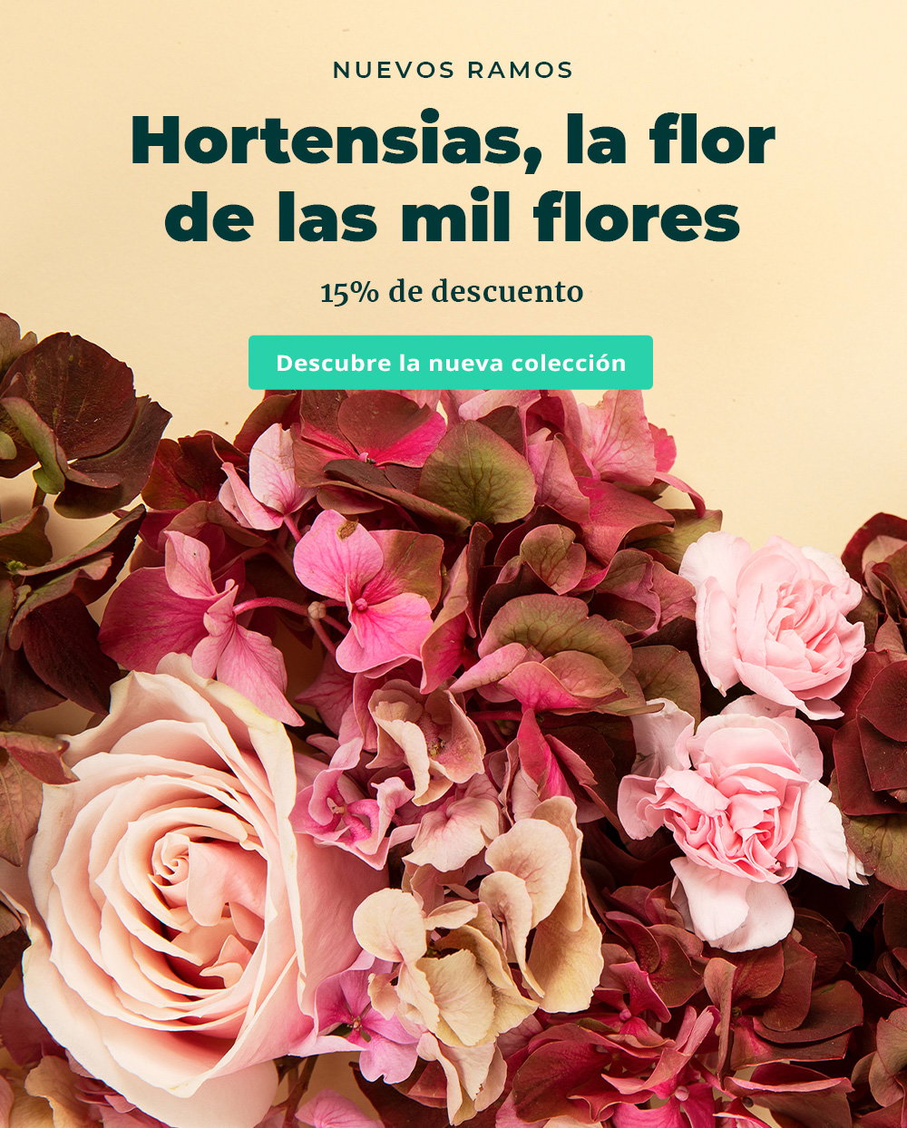 Colvin: -15%? Descubre la nueva colección de Hortensias | Milled