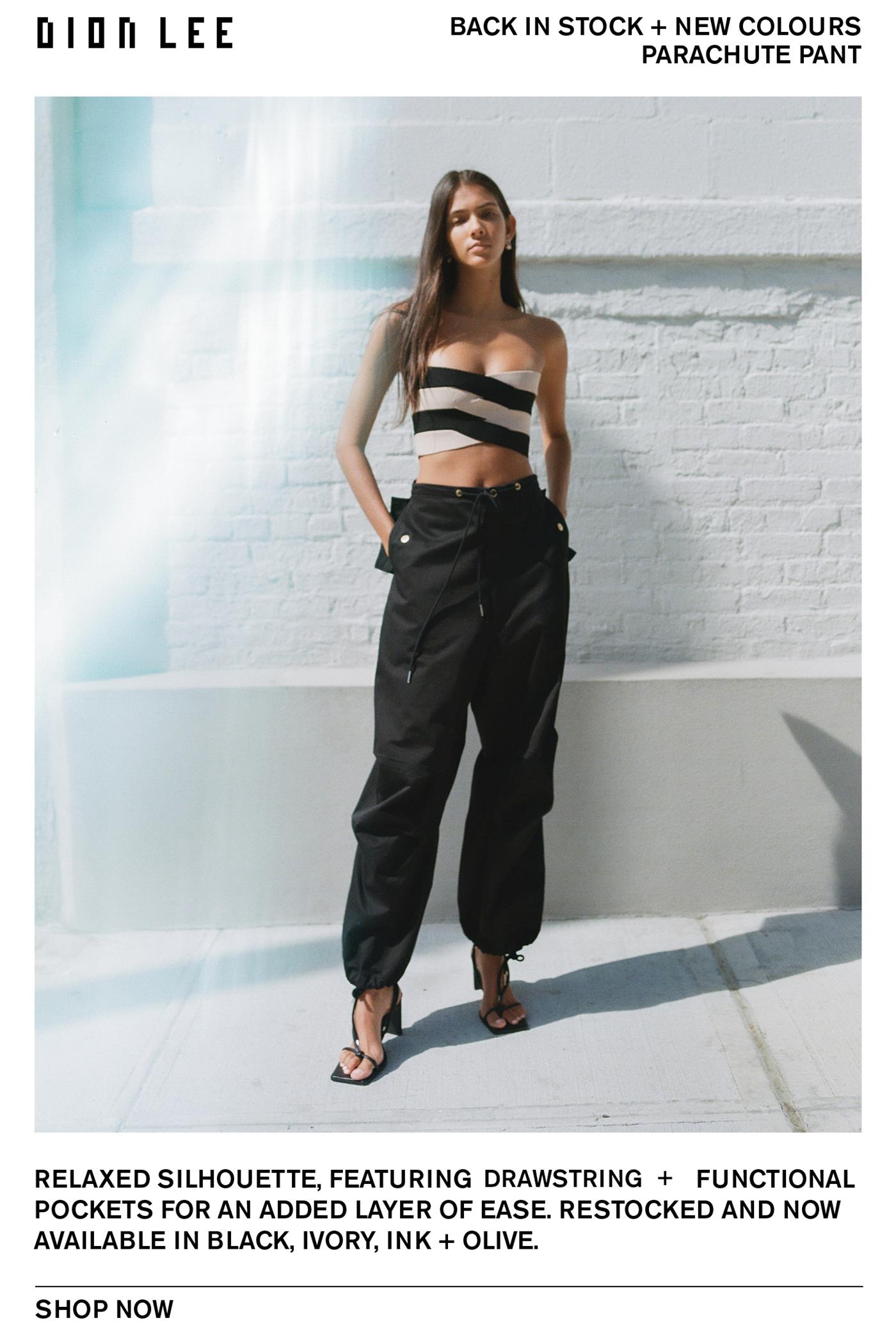 dion lee parachute pants