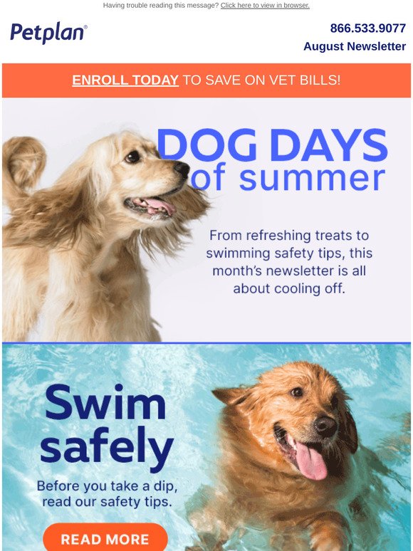 Our August newsletter is making a splash 🌊