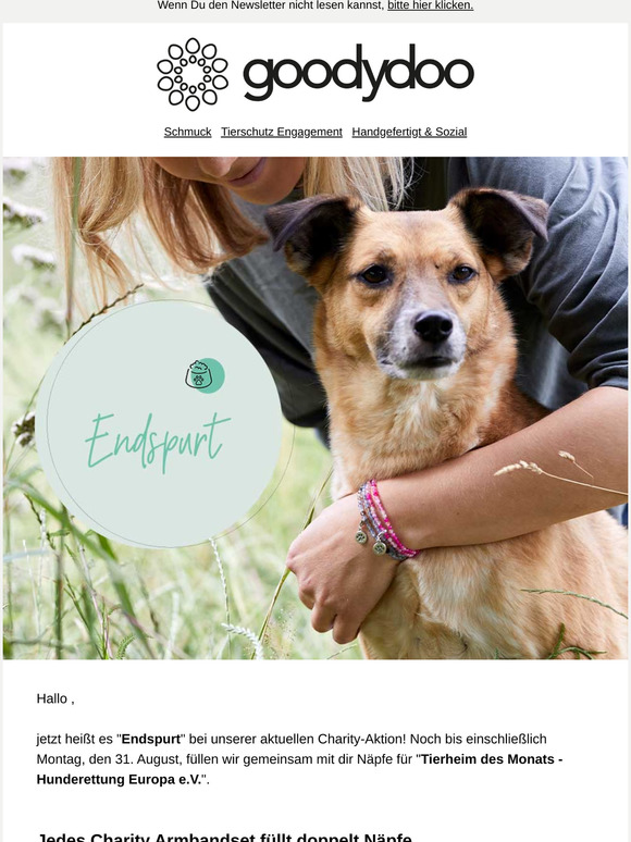 Endspurt "Tierheim des Monats August" 🐾