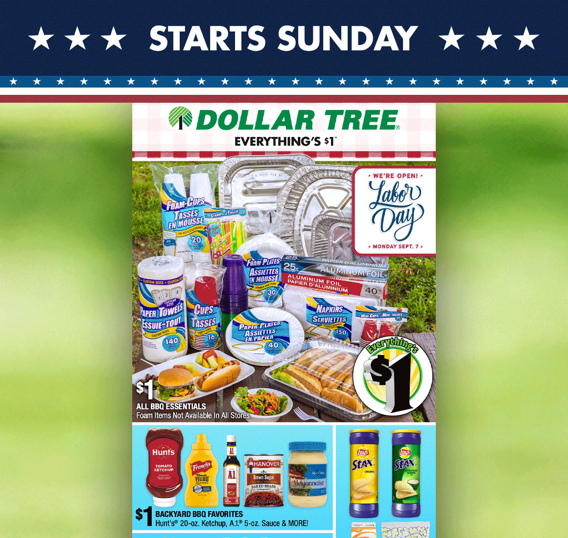 Dollar Tree Sneak Peek our Labor Day Ad! Milled