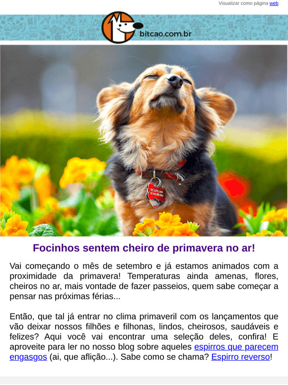 Seu peludo se anima com a primavera? 🌻