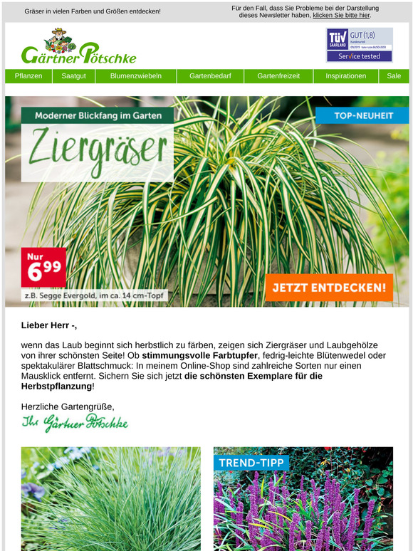 ⭐ Schön, schöner … Ziergräser!
