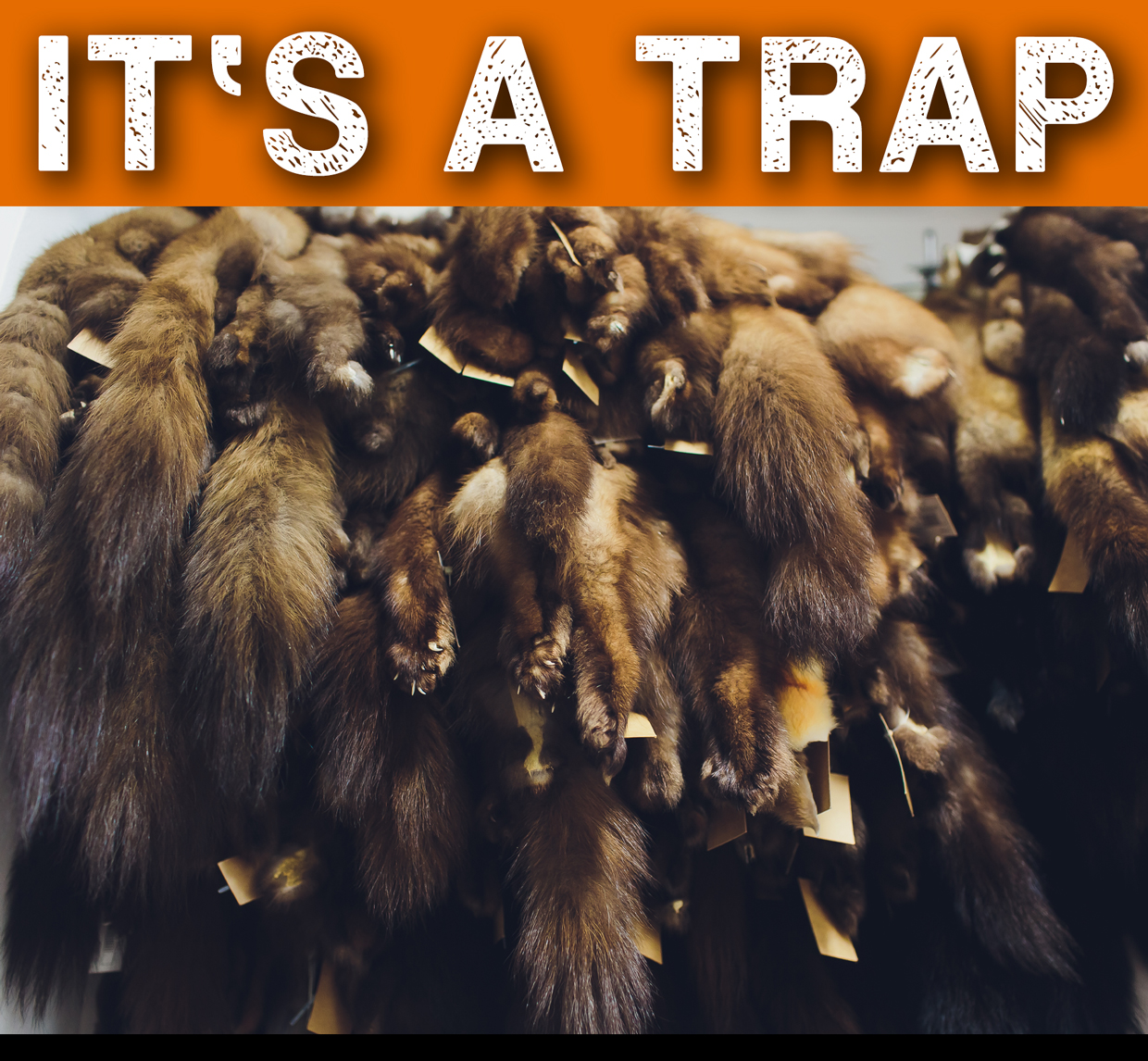 HuntSmart Dog Training Large 18" x 20" Raccoon Roll Cage Milled