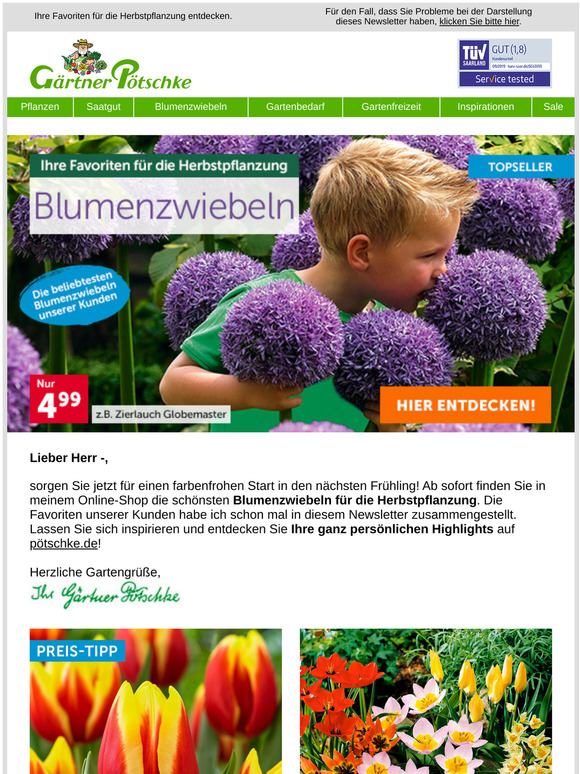 🌷 Jetzt ist die beste Pflanzzeit für Blumenzwiebeln!
