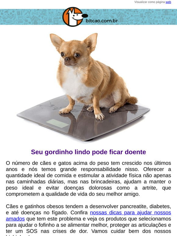 Mantenha seu peludo em forma para viver melhor
