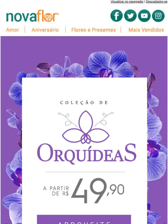 ColeÃ§Ã£o belÃ­ssima que farÃ¡ os seus olhos brilharem! ï»¿ðºï»¿â¨