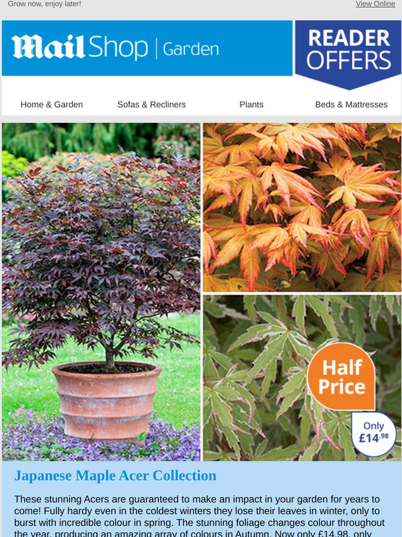 Clearance plants ready for your 2021 garden Milled