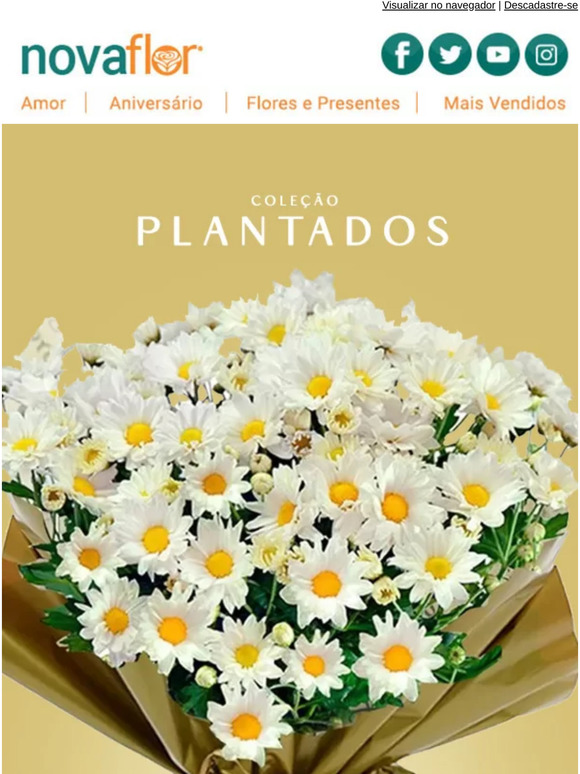 Os PLANTADOS que a gente ama! ï»¿ðï»¿ð»