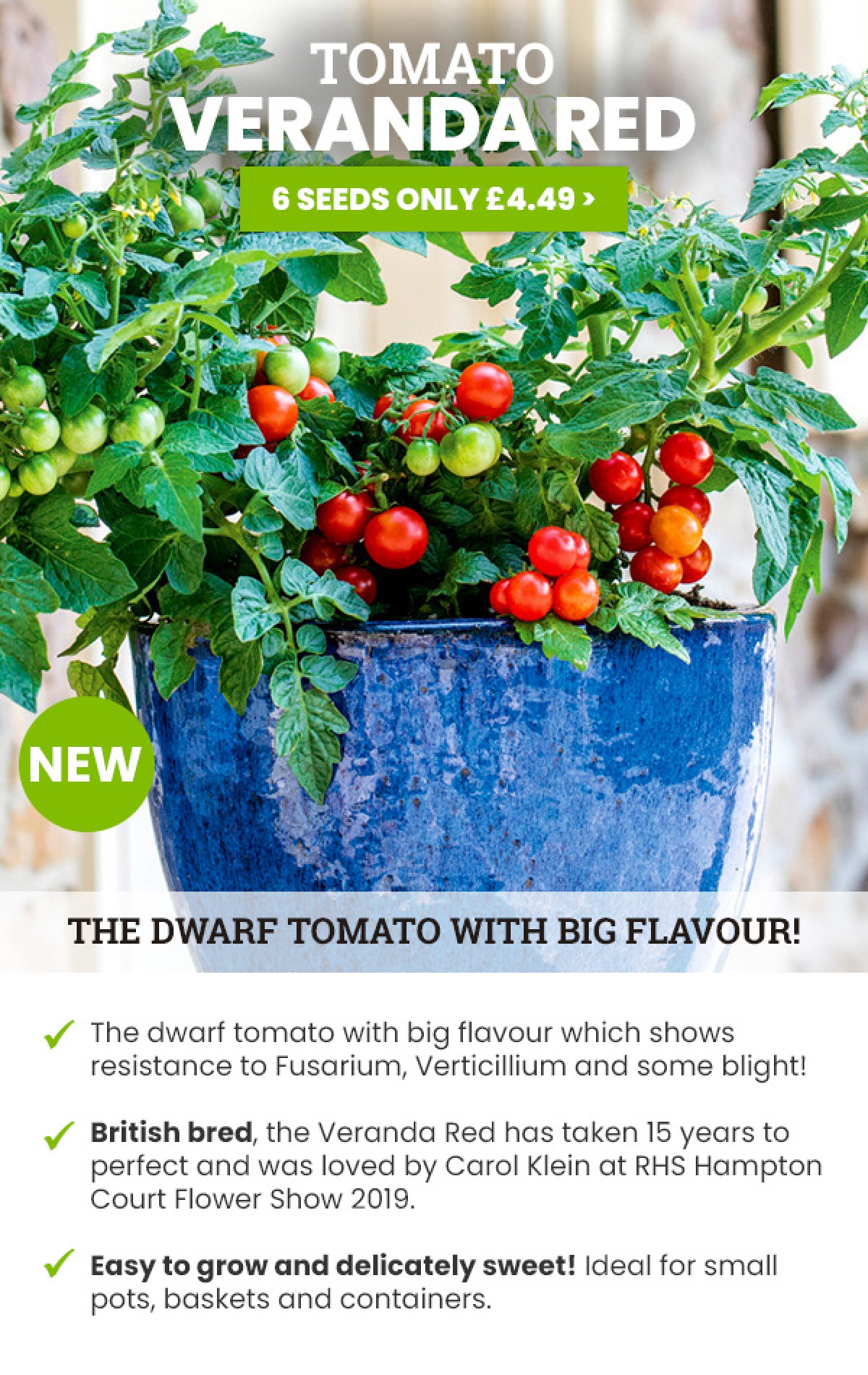 Other Seeds & Bulbs TOMATO DWARF VERANDA RED 12 FINEST SEEDS Garden & Patio