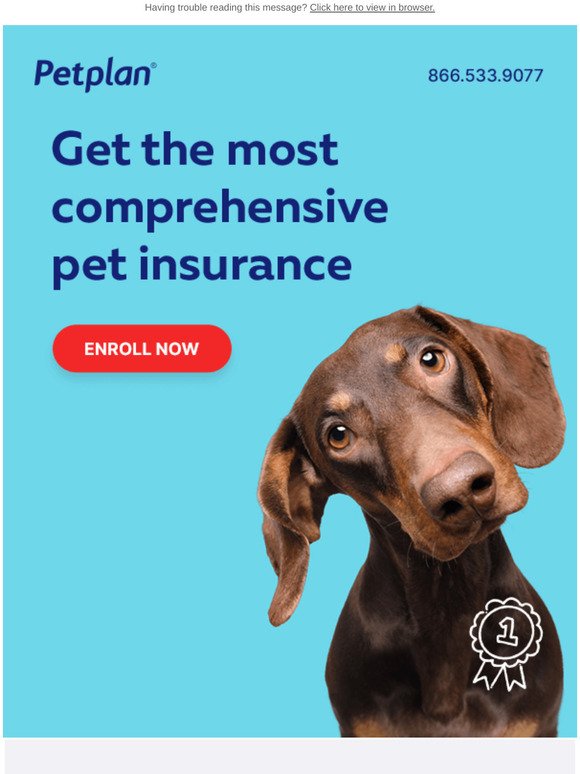 🚨 You could be saving more on vet bills…