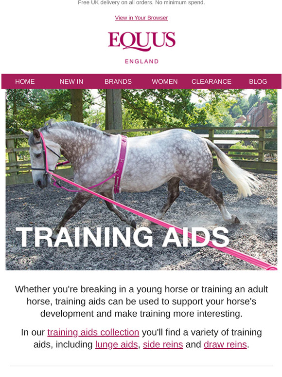 Busse Nylon Fully Adjustable Side-Reins Lunge Training Aid FREE DELIVERY 
